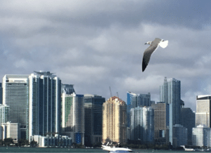 Miami, Florida