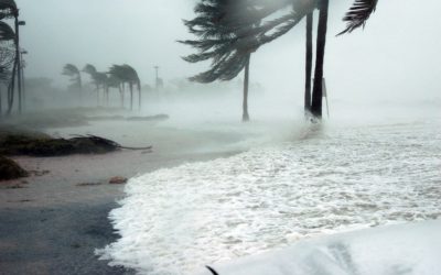 Por huracán Dorian, Uber ofrece viajes gratis a los refugios en Florida