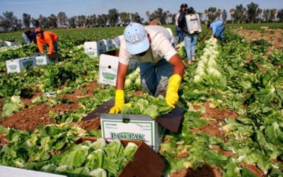 Mexicanos indocumentados son los que más aportan a la economía de USA