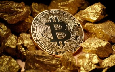 Jóvenes inversores planean gastar miles de dólares en criptodivisas en Navidad