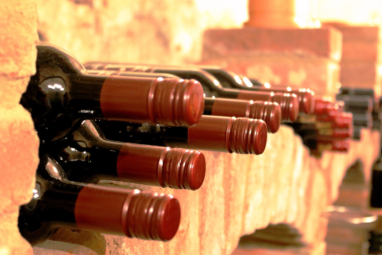 WINE BOTTLES STORAGE Distribuidora de Vinos