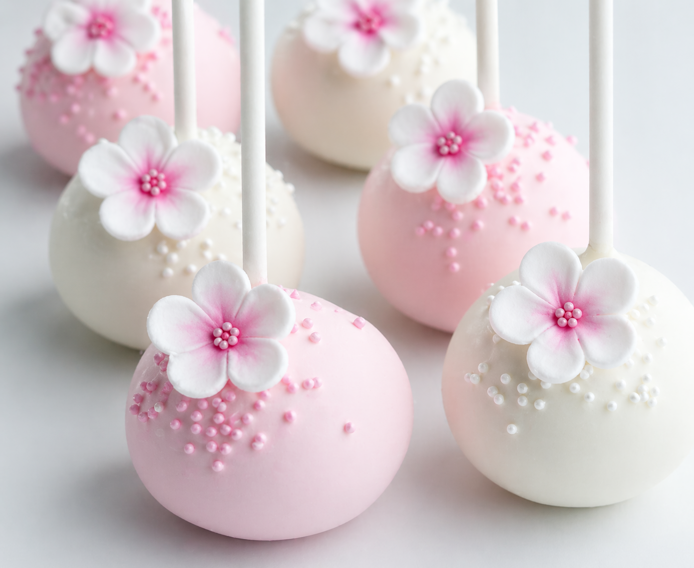 Tienda de Accesorios para Pastelerías