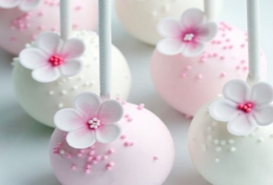 Tienda de Accesorios para Pastelerías