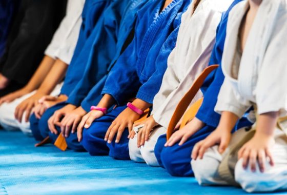 Academia de Artes Marciales Establecida