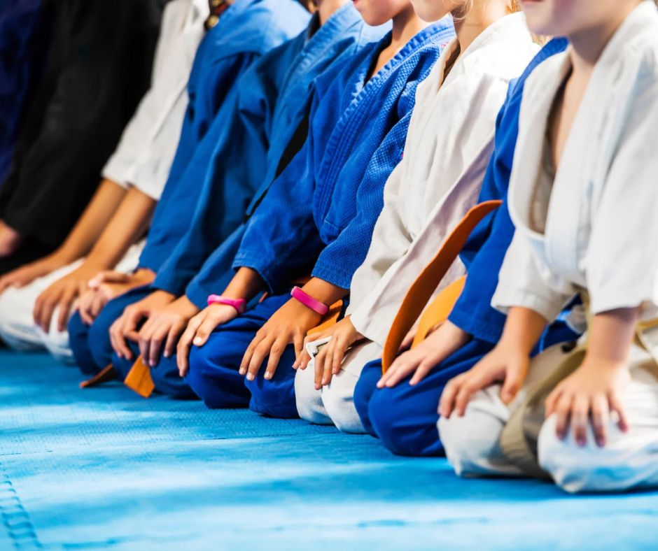 Martial Arts Dojo Academia de Artes Marciales Establecida